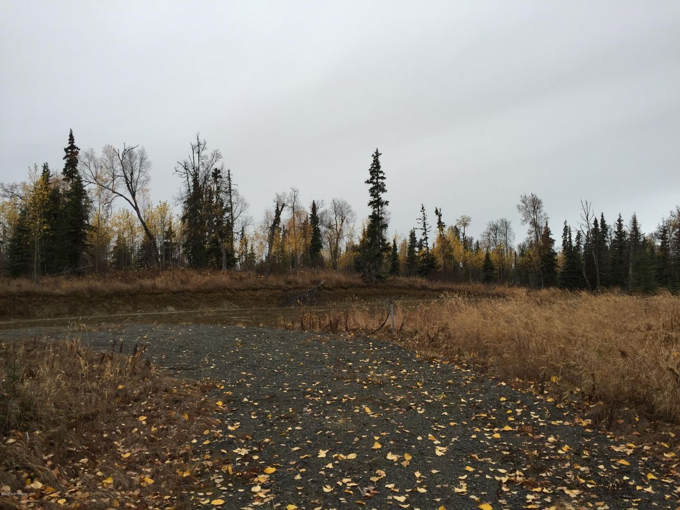 63885 Tailwind Rd, Ninilchik, AK 99639